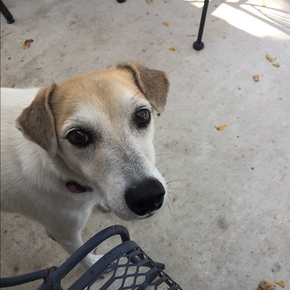 Meet your Posher, Dorothy - Picture 1 of 1